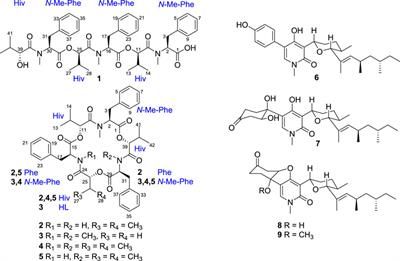 Cytotoxic hexadepsipeptides and anti-coronaviral 4-hydroxy-2-pyridones from an endophytic Fusarium sp.